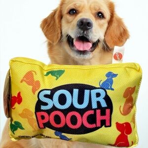 Spot Fun Food Sour Pooch kids 9” stuffed dog toy yellow colorful crinkle new